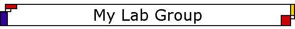 Lab Group